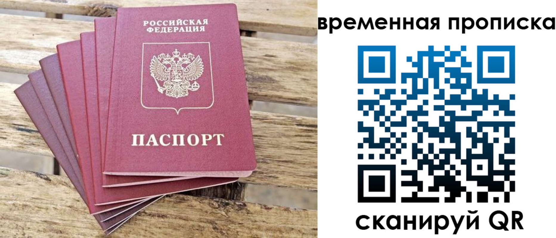 прописка в квартире в Дубовке