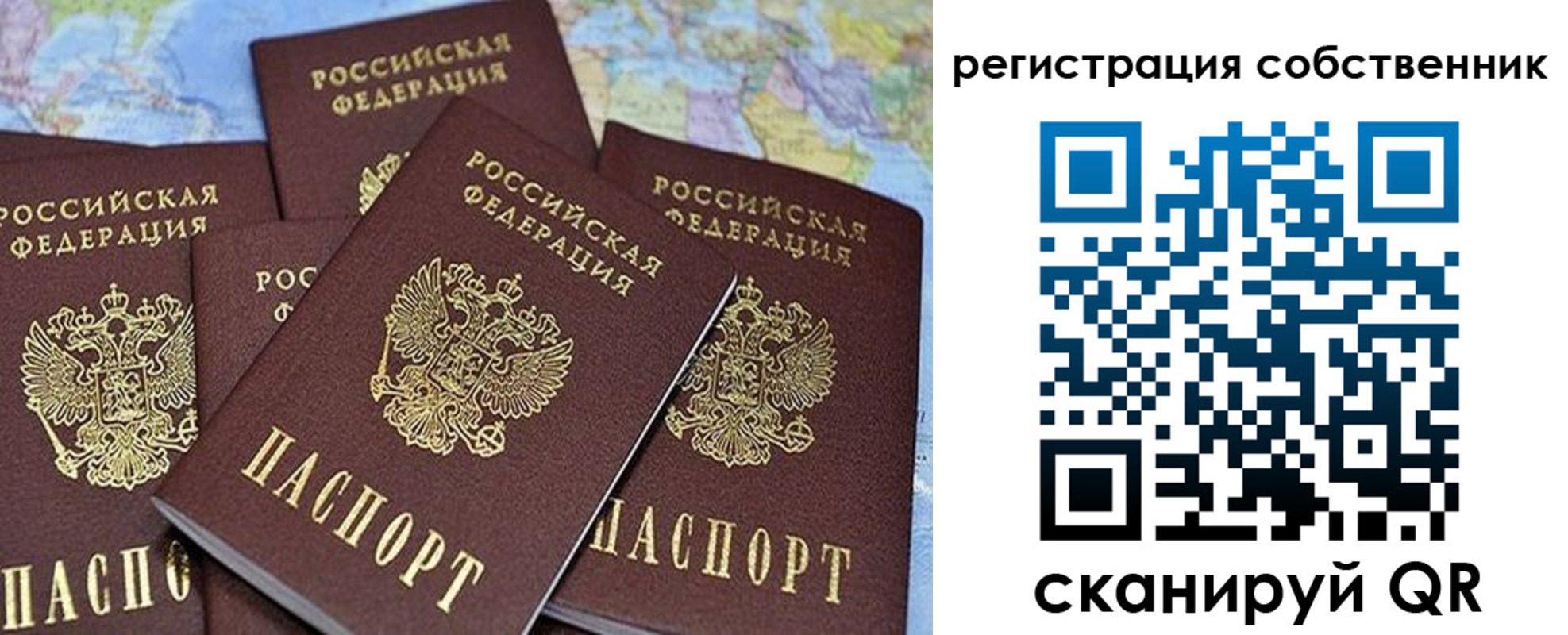 прописка для школы в Дубовке